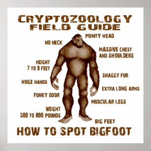 WIE MAN BIGFOOT SPEICHERT - Handbuch für das Feld  Poster