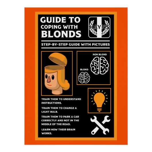 Wie man Blonds versteht Poster (Vorderseite)