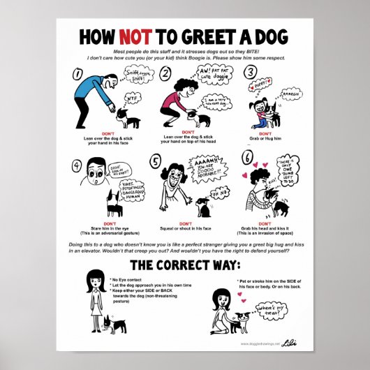 Wie man ein Dog-Poster (11 x 14") von Lili Chi grü Poster (Vorne)