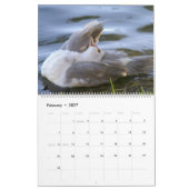 WIE MAN EIN ITCH VON A. Grey Duck 2024 SCRATCH? Kalender (Feb 2027)