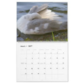 WIE MAN EIN ITCH VON A. Grey Duck 2024 SCRATCH? Kalender (Mär 2027)