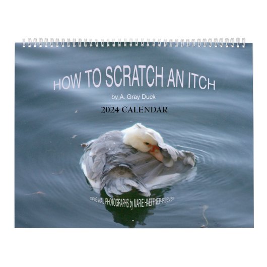 WIE MAN EIN ITCH VON A. Grey Duck 2024 SCRATCH? Kalender (Titelbild)