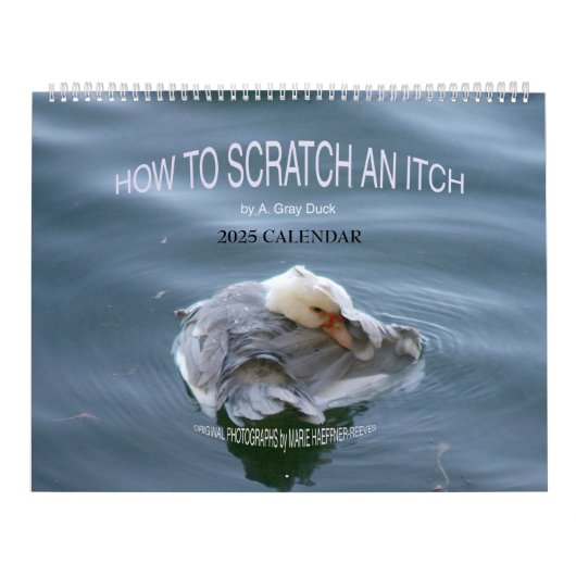 WIE MAN EIN ITCH VON A. Grey Duck 2025 SCRATCH? Kalender (Titelbild)