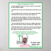 Wie man ein Tick Educational Poster entfernt (Vorne)