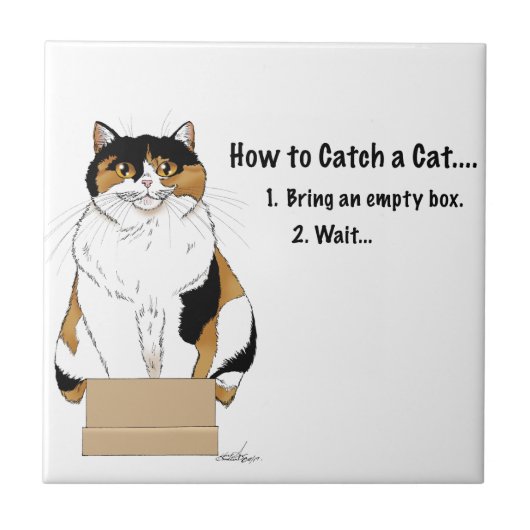 Wie man eine Katze fängt Fliese (Vorderseite)