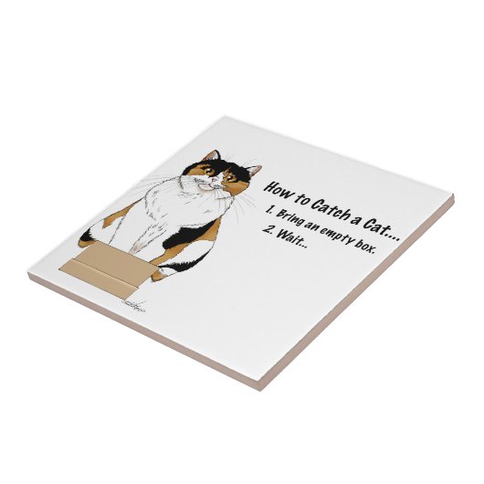 Wie man eine Katze fängt Fliese (Seite)