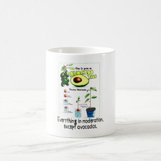 Wie man einen Avocadobaum züchtet Kaffeetasse (Mittel)