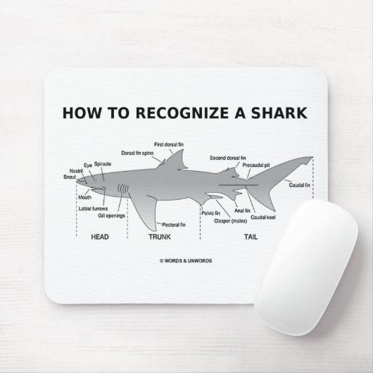 Wie man einen Hai erkennt (Biologie-Spaß) Mousepad (Mit Mouse)