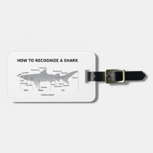 Wie man einen Haifisch erkennt (Biologie-Spaß) Gepäckanhänger