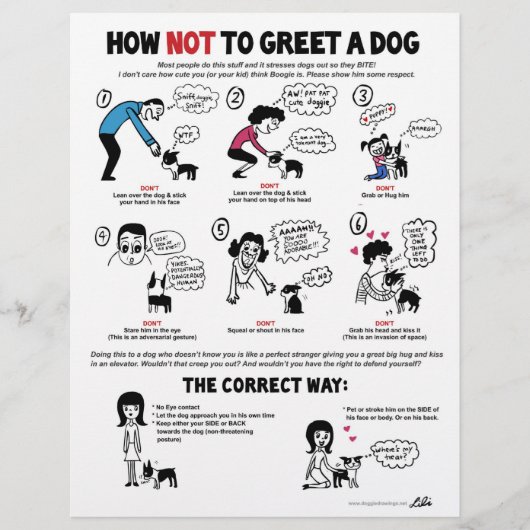 Wie man einen Hund nicht grüßt - 8,5" x 11" Flyer (Vorne)