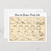 Wie man Frogs Vintage Postkarte Zeichne (Vorne/Hinten)
