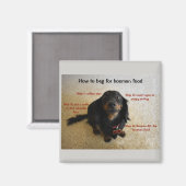 Wie man Funny Dog bettelt Magnet (Vorderseite/Rückseite)