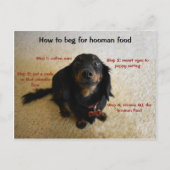 Wie man Funny Dog bettelt Postkarte (Vorderseite)