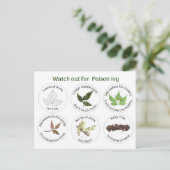 Wie man Gifteichen identifiziert Postkarte (Stehend Vorderseite)