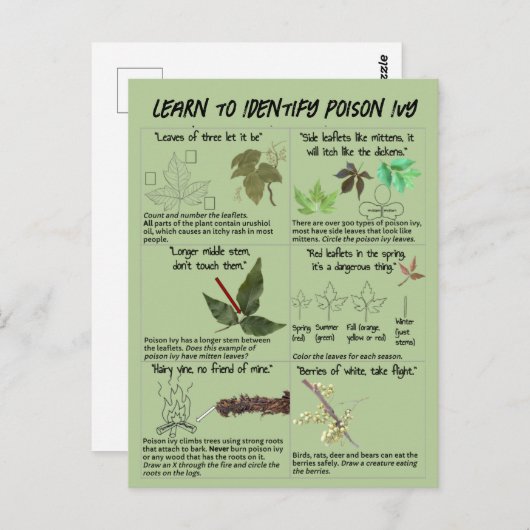 Wie man Giftgifte-Pflanze identifiziert - Wandersi Postkarte (Vorne/Hinten)