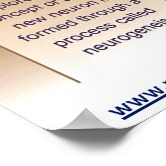 Wie man Intelligence Poster von Mindset Works erst (Ecke)