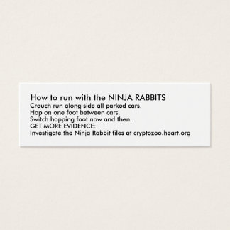 Wie man mit den NINJA RABBITS läuft