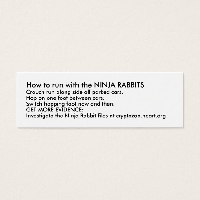 Wie man mit den NINJA RABBITS läuft (Vorderseite)