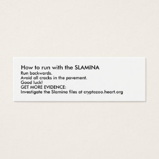 Wie man mit der SLAMINA läuft