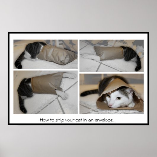 Wie man seine Katze in einen Umschlag verschickt.. Poster (Vorne)