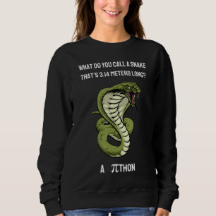 Wie nennt man eine Schlange Thatu2019s 3 14 Meter Sweatshirt