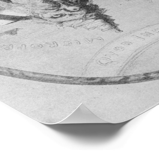 Wie oben so unter Abbildung Poster (Ecke)