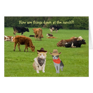 Wie Sachen unten an der Ranch? sind!