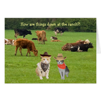 Wie Sachen unten an der Ranch? sind!