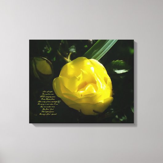 Wie sanftes Licht auf der Gelben Rose Leinwanddruck (Vorderseite)