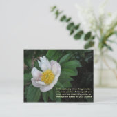 Wie viel Sie die Postkarte lieben (Stehend Vorderseite)