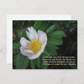 Wie viel Sie die Postkarte lieben (Vorne/Hinten)