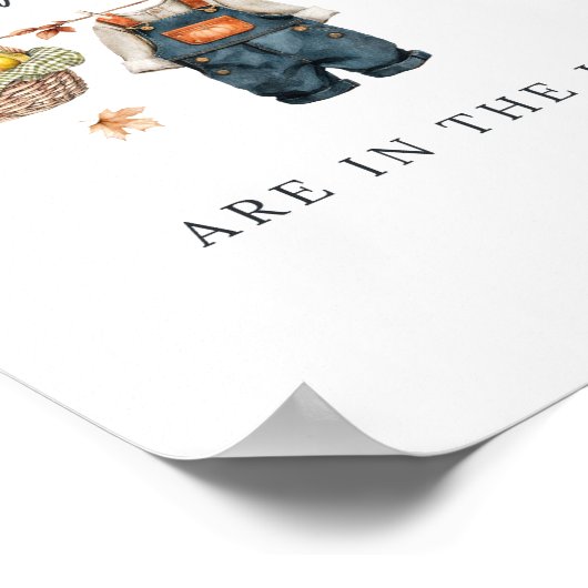 Wie viele Kürbis in Jar Rustic Baby Dusche Poster (Ecke)