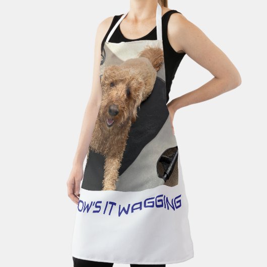 Wie wird die Schürze der Koch getrieben? (InSitu)