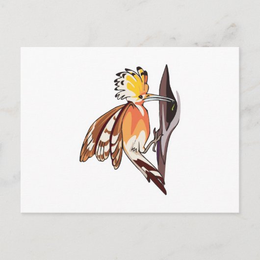 Wiedehopf Postkarte (Vorderseite)