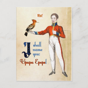 Wiedehopf Postkarte