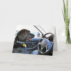 Wieder auf Achse Karte