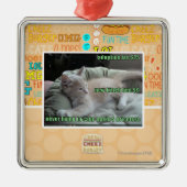 Wieder lebend nie, in einem Käfig Silbernes Ornament (Vorne)