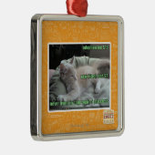 Wieder lebend nie, in einem Käfig Silbernes Ornament (Rechts)