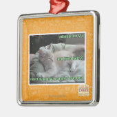 Wieder lebend nie, in einem Käfig Silbernes Ornament (Links)