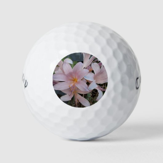 Wiederauferstehungslilie Golfball (Vorderseite)