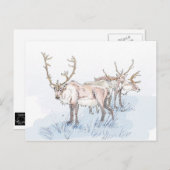 Wiedereinsetzen in die Schneeballkarte Postkarte (Vorne/Hinten)