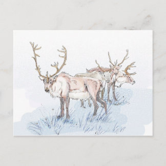 Wiedereinsetzen in die Schneeballkarte Postkarte