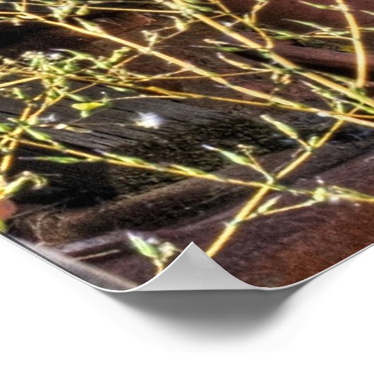 Wiedererwachen Poster (Ecke)