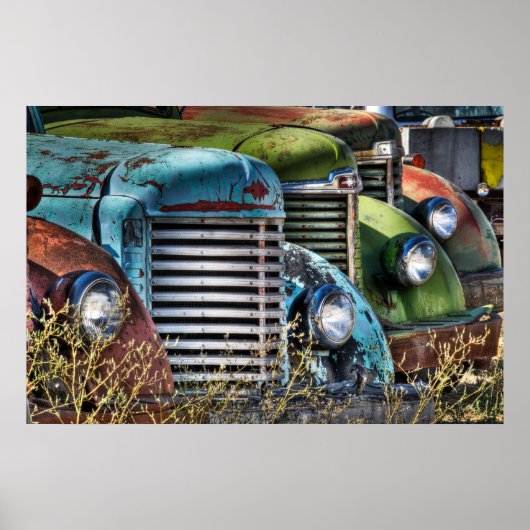 Wiedererwachen Poster (Vorne)