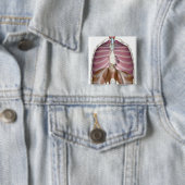 Wiedergabe 3d des Atmungssystems Button (Beispiel)