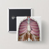 Wiedergabe 3d des Atmungssystems Button (Vorne & Hinten)