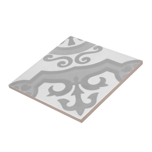 Wiedergabeauthentische Encaustic-Zement-Fliese Fliese (Seite)