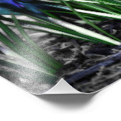 Wiedergeburt des Aqua Blue Crocus Blooms Fotodruck (Ecke)