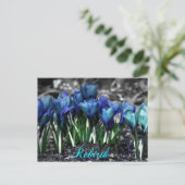 Wiedergeburt des Aqua Blue Crocus Blooms Postkarte (Stehend Vorderseite)