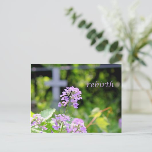 Wiedergeburt Postkarte (Stehend Vorderseite)